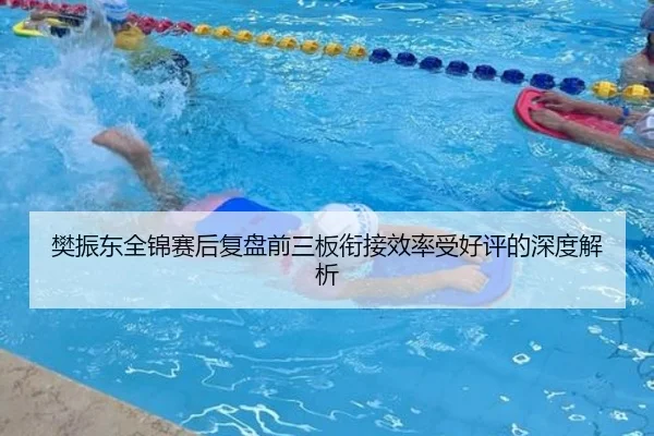 樊振东全锦赛后复盘前三板衔接效率受好评的深度解析